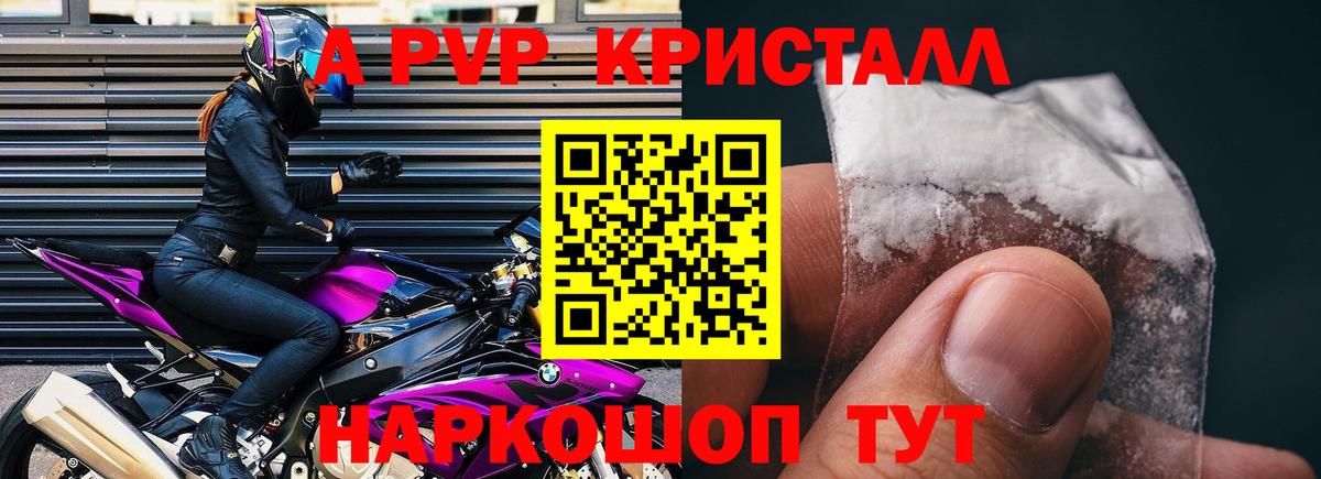 APVP СК Саранск