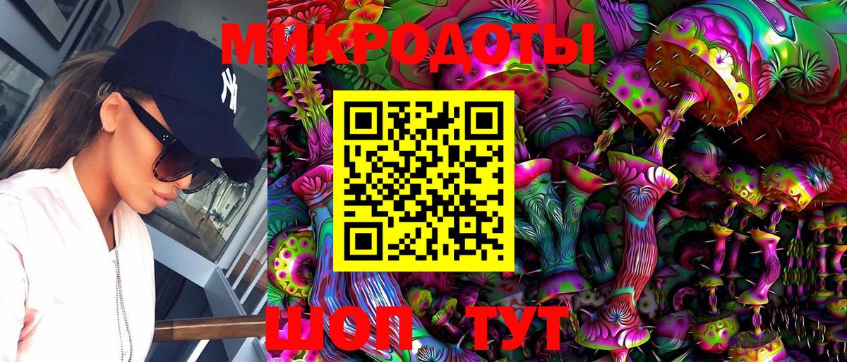 Галлюциногенные грибы Cubensis Саранск