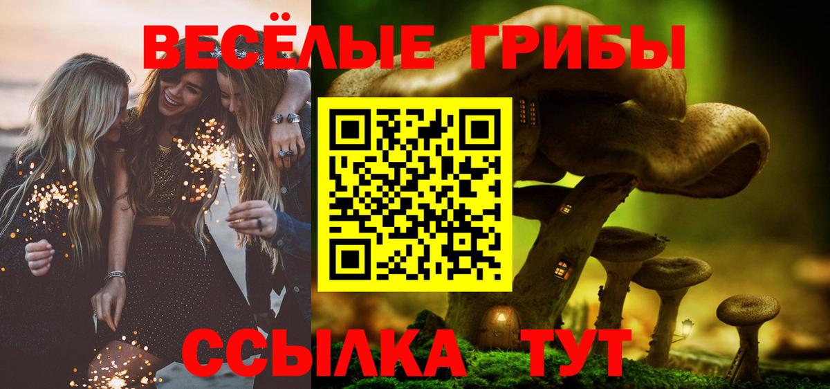 Псилоцибиновые грибы MAGIC MUSHROOMS  Вход с VPN  наркотики  Саранск 
